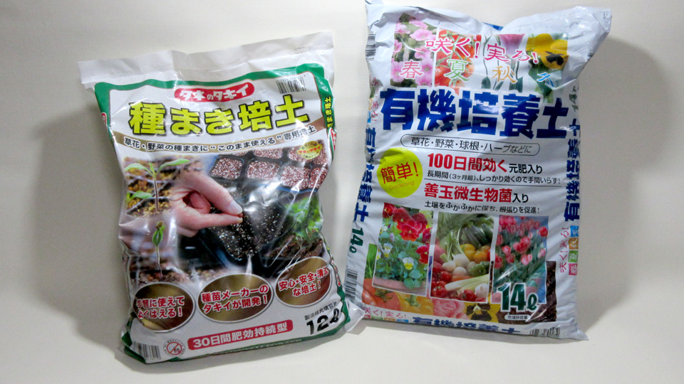 瓢箪の種まき