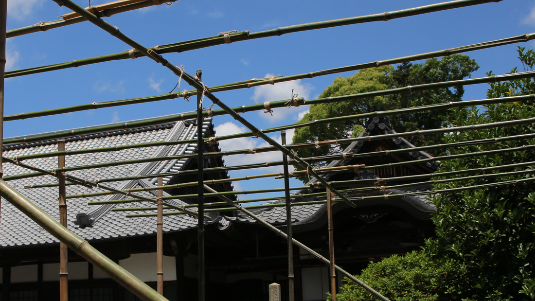瓢箪の栽培　４月