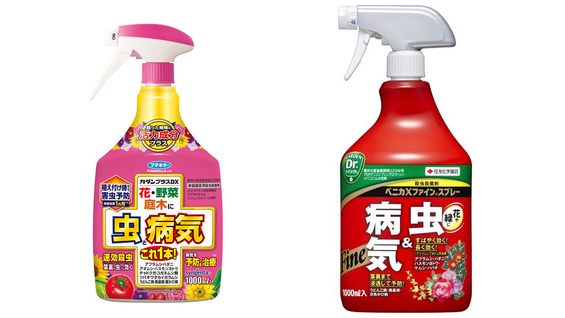 瓢箪の栽培 3月