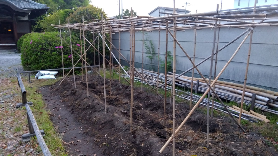 瓢箪の棚組開始