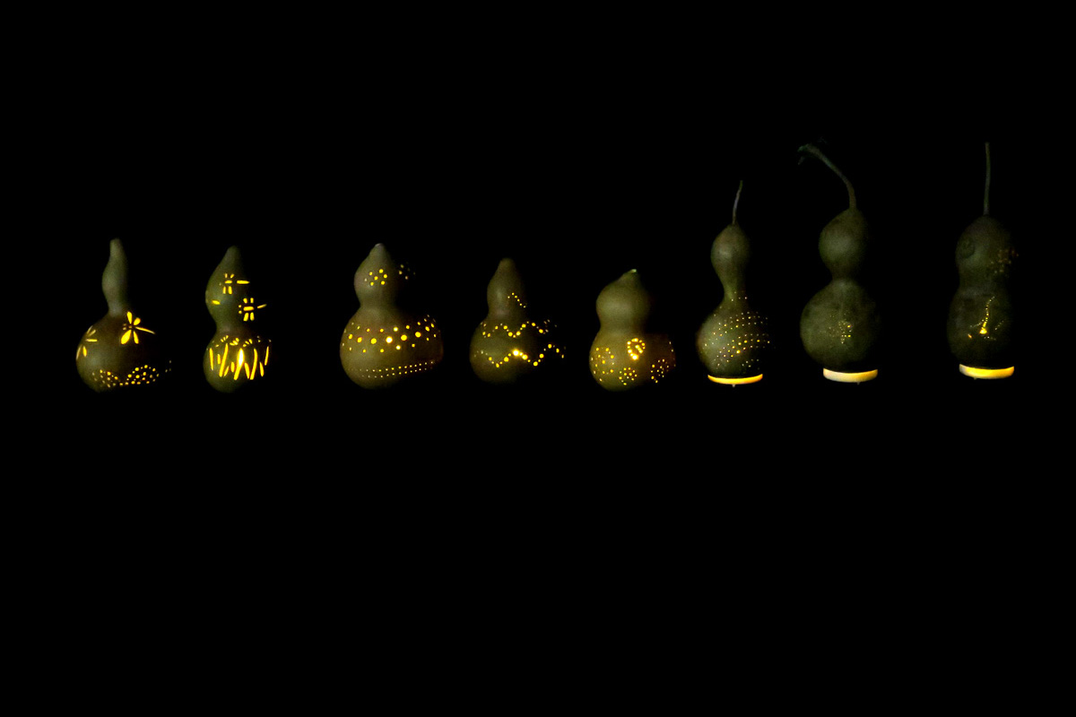 瓢箪の種